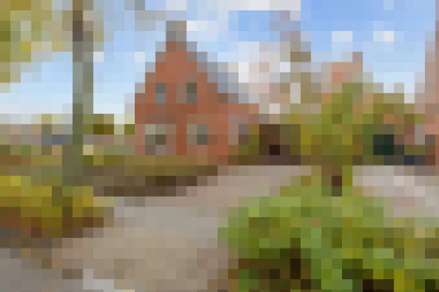 Gebr Gootjesstraat 21 Baflo foto 3