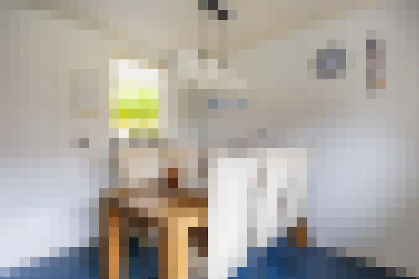 Gebr Gootjesstraat 21 Baflo thumbnail 30