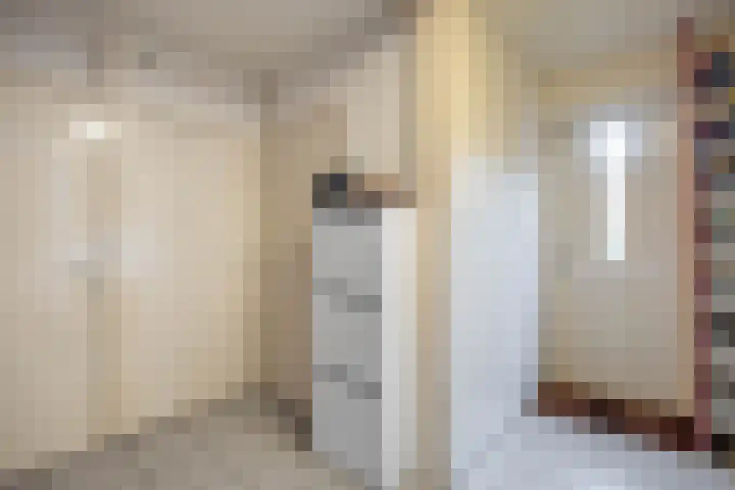 Gebr Gootjesstraat 21 Baflo thumbnail 32