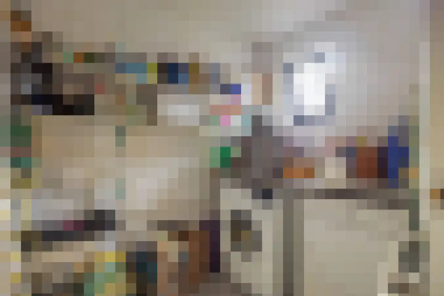 Gebr Gootjesstraat 21 Baflo thumbnail 34