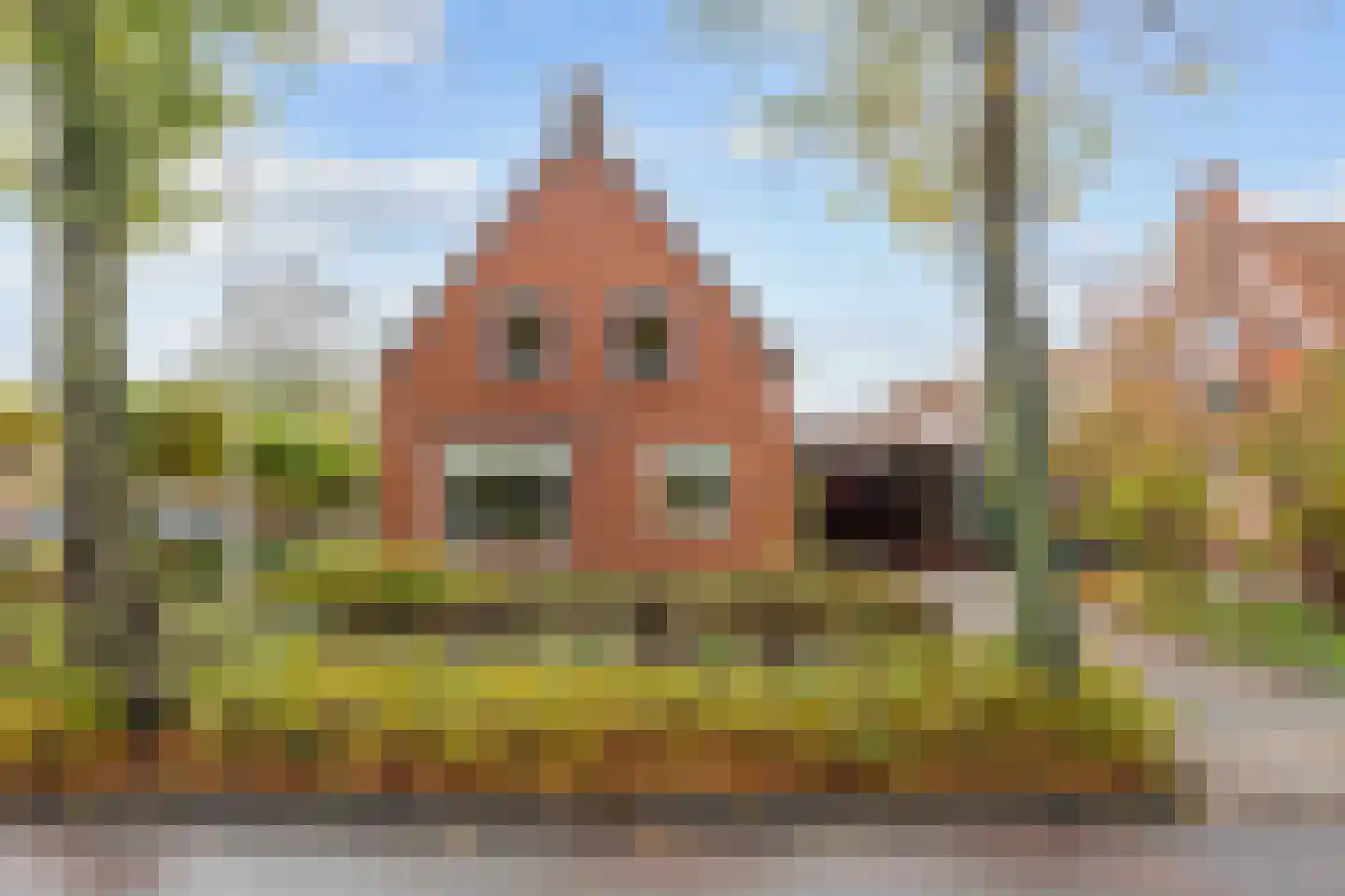 Gebr Gootjesstraat 21 Baflo thumbnail 4