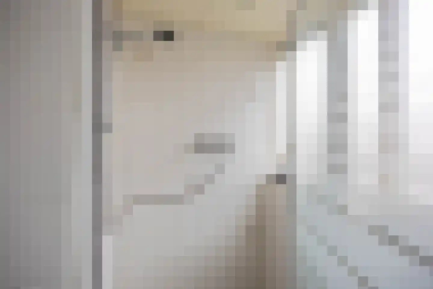 Gebr Gootjesstraat 21 Baflo thumbnail 40