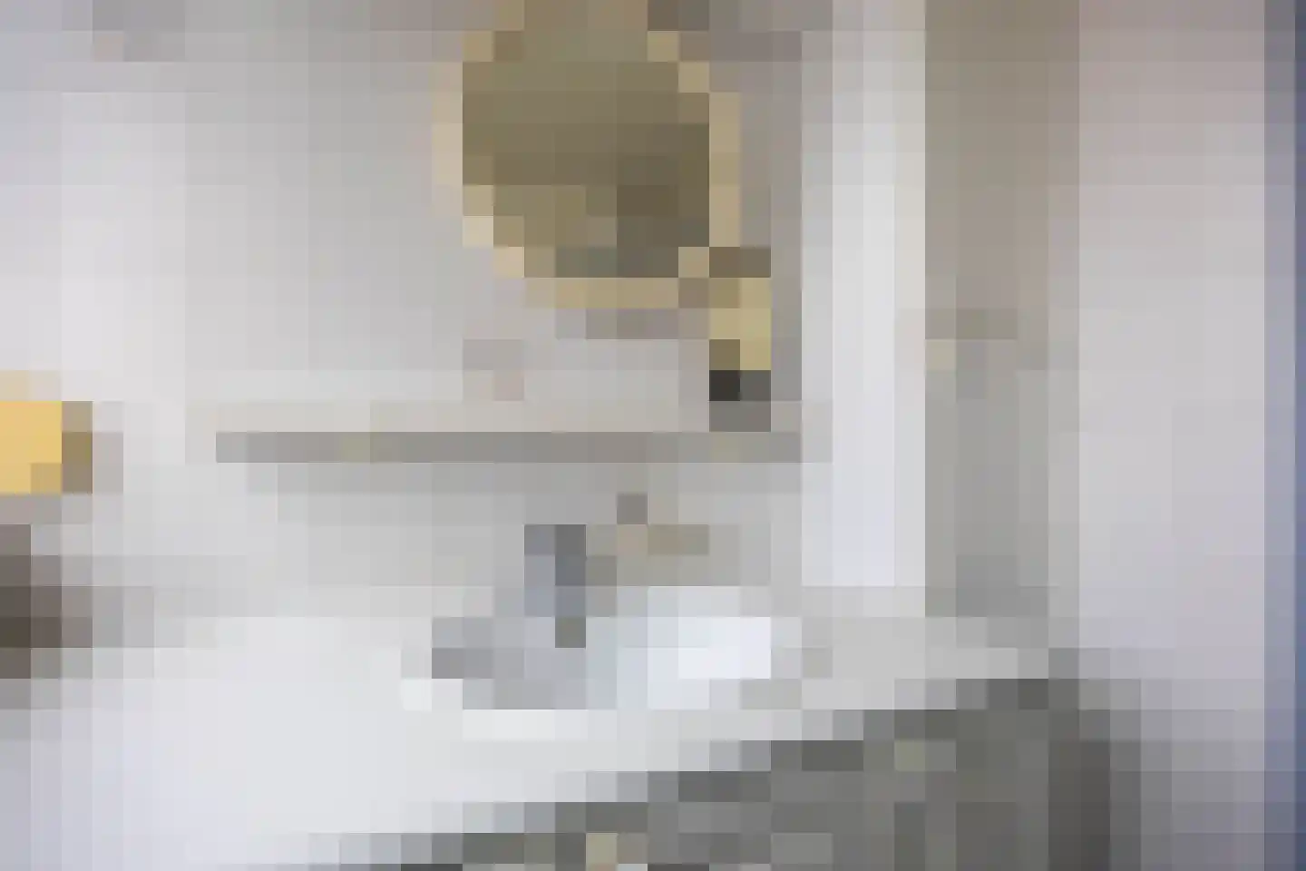 Gebr Gootjesstraat 21 Baflo thumbnail 41