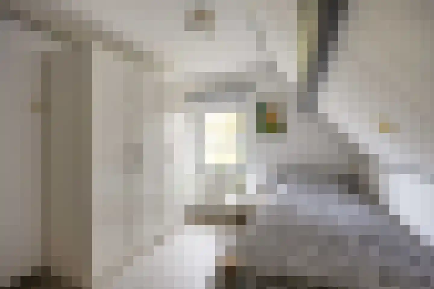 Gebr Gootjesstraat 21 Baflo thumbnail 44