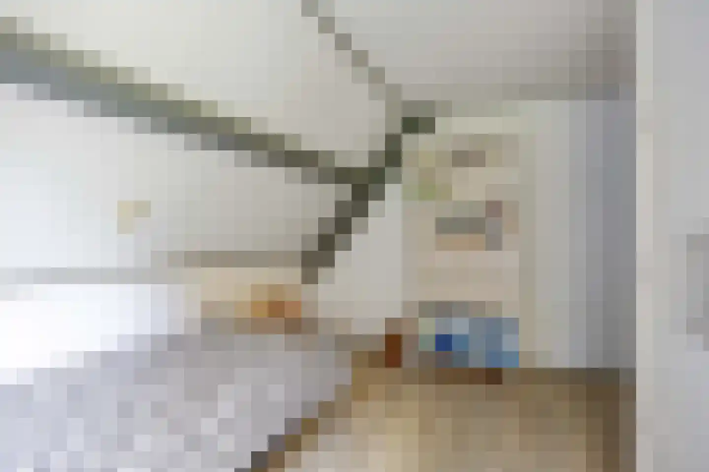 Gebr Gootjesstraat 21 Baflo thumbnail 45