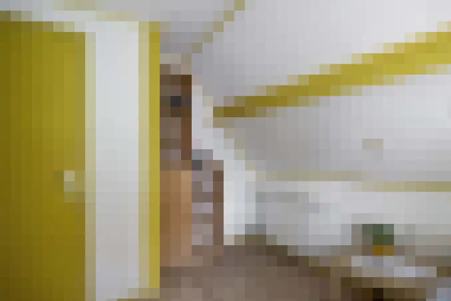 Gebr Gootjesstraat 21 Baflo thumbnail 48