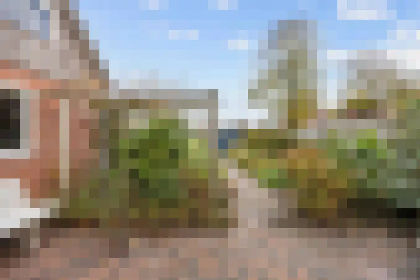 Gebr Gootjesstraat 21 Baflo thumbnail 64