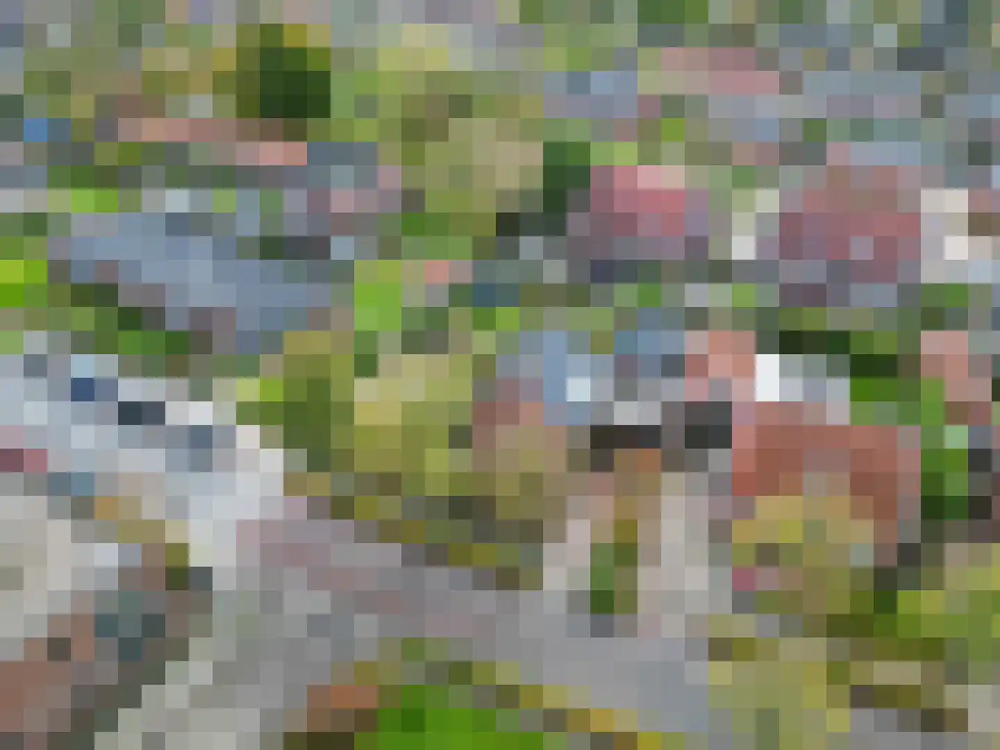 Gebr Gootjesstraat 21 Baflo thumbnail 68