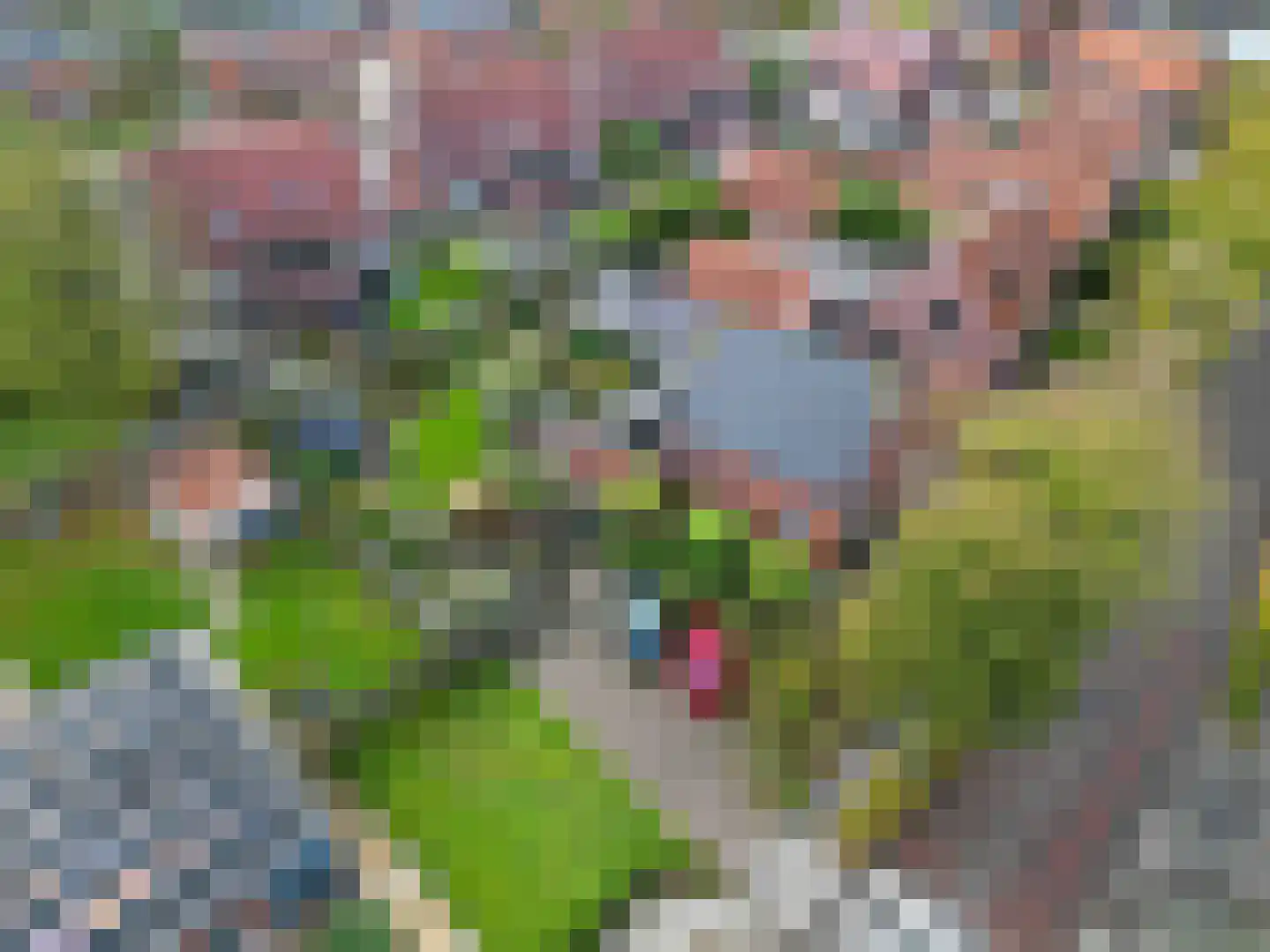 Gebr Gootjesstraat 21 Baflo thumbnail 69