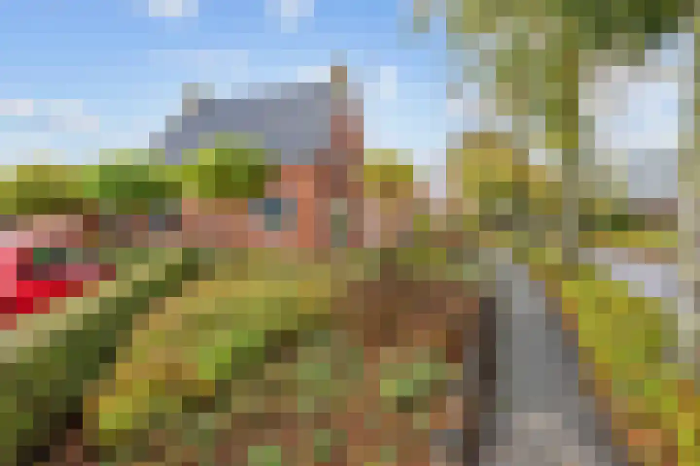 Gebr Gootjesstraat 21 Baflo thumbnail 7