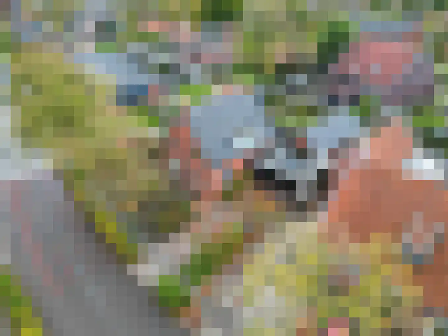 Gebr Gootjesstraat 21 Baflo thumbnail 74