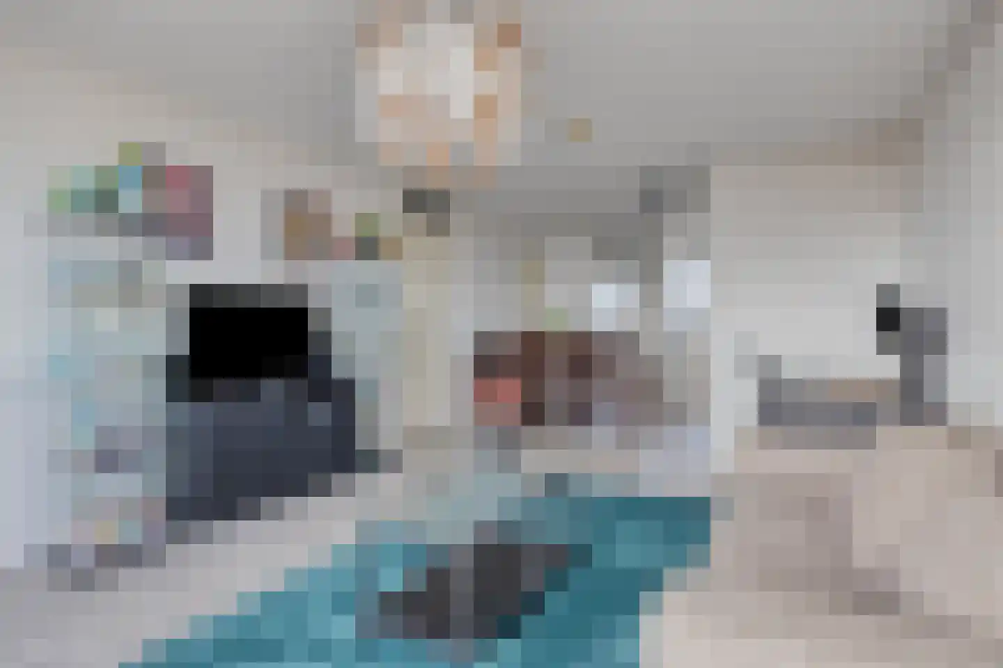 Gebr. Grimmkade 39 Woerden thumbnail 10