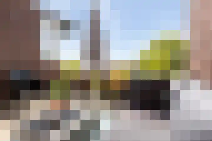 Gebr. Grimmkade 47 Woerden thumbnail 40