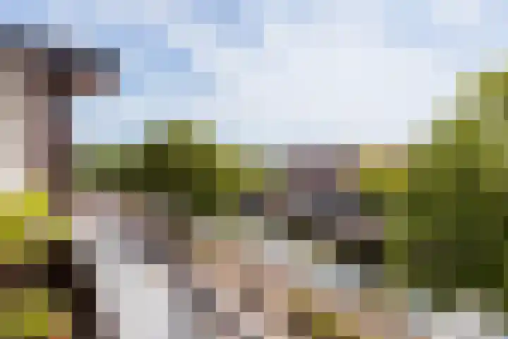 Gebr. Grimmkade 47 Woerden thumbnail 42
