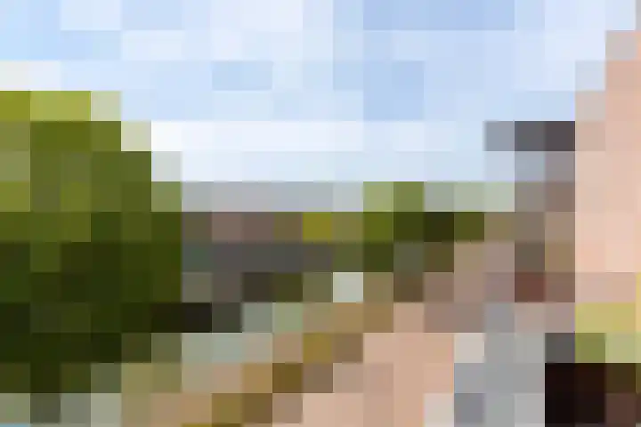 Gebr. Grimmkade 47 Woerden thumbnail 43