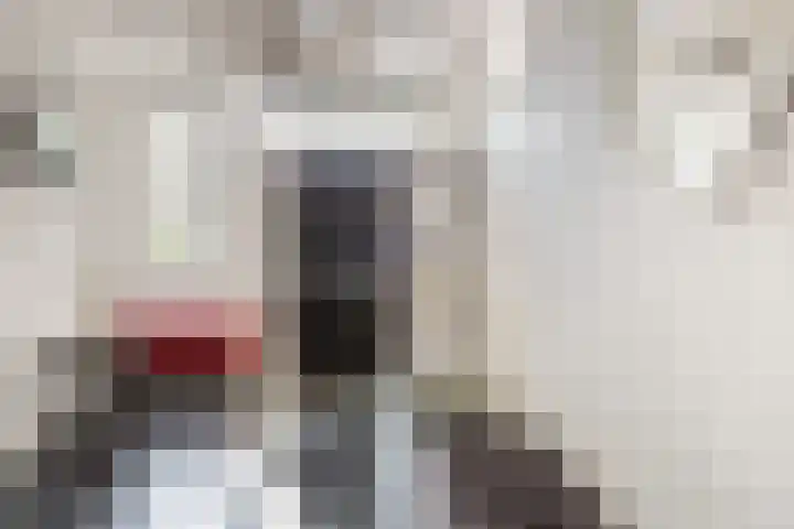 Gebr. Grimmkade 47 Woerden thumbnail 5