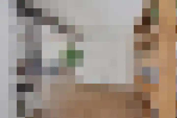 Gebr Ketteringstraat 8 Lichtenvoorde thumbnail 14