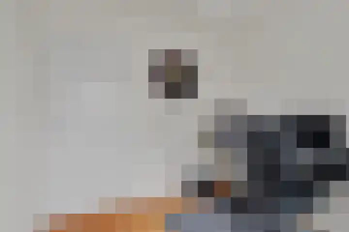 Gebr Ketteringstraat 8 Lichtenvoorde thumbnail 23
