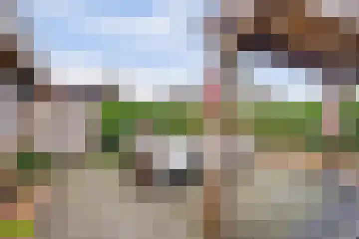 Gebr Ketteringstraat 8 Lichtenvoorde thumbnail 35