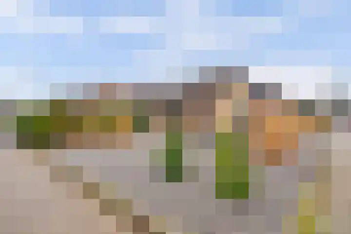 Gebr Ketteringstraat 8 Lichtenvoorde thumbnail 42