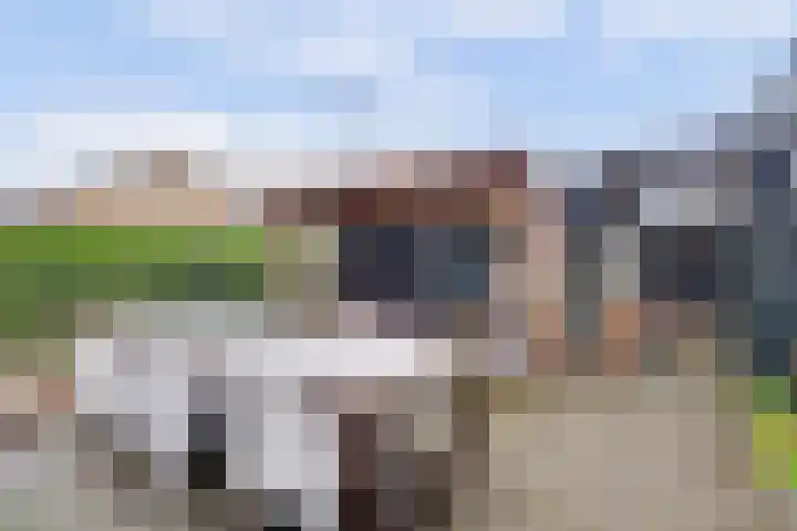 Gebr Ketteringstraat 8 Lichtenvoorde thumbnail 5