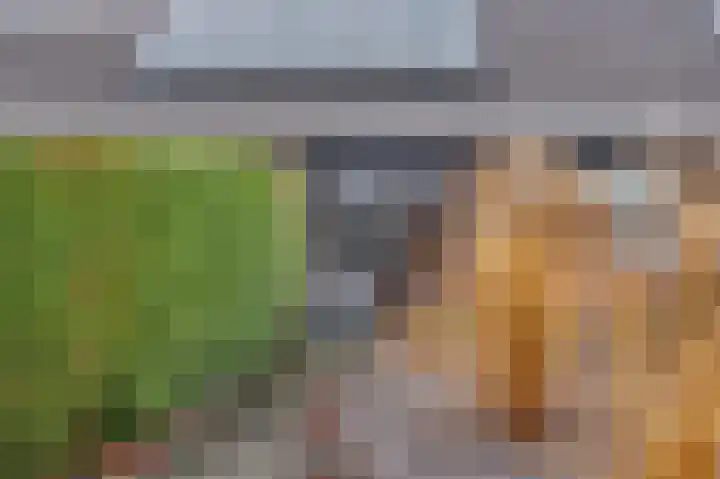Gebr Ketteringstraat 8 Lichtenvoorde thumbnail 6