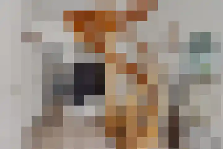 Gebr Ketteringstraat 8 Lichtenvoorde thumbnail 8