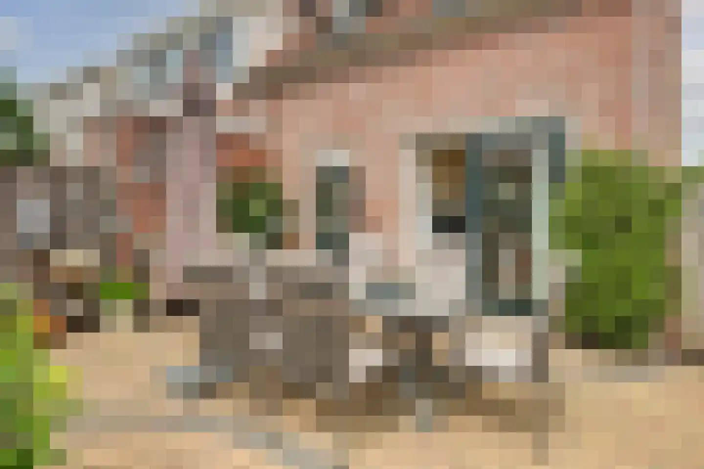 Gebr. Plukkerstraat 29 Schagen thumbnail 23