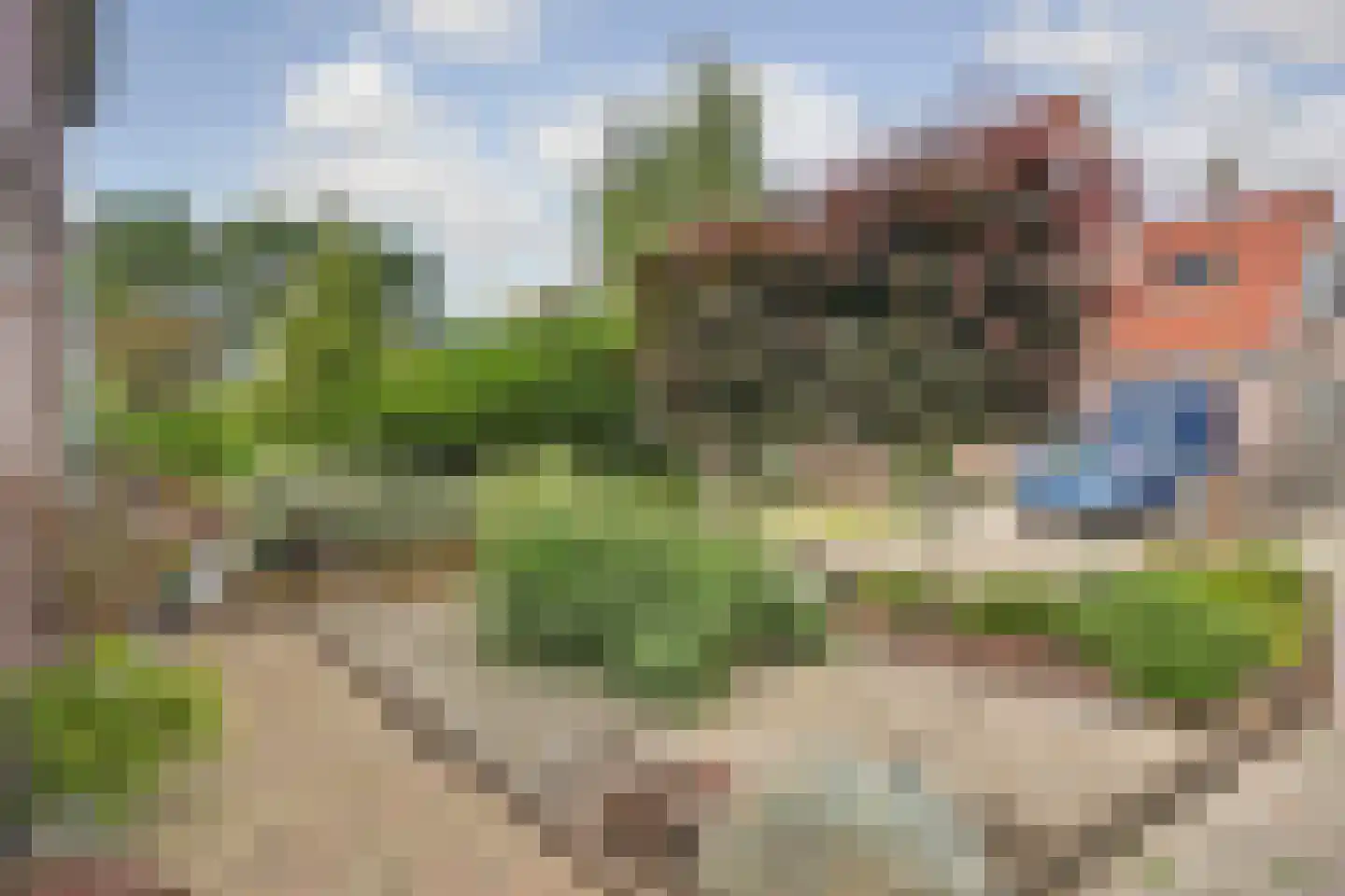 Gebr. Plukkerstraat 29 Schagen thumbnail 36