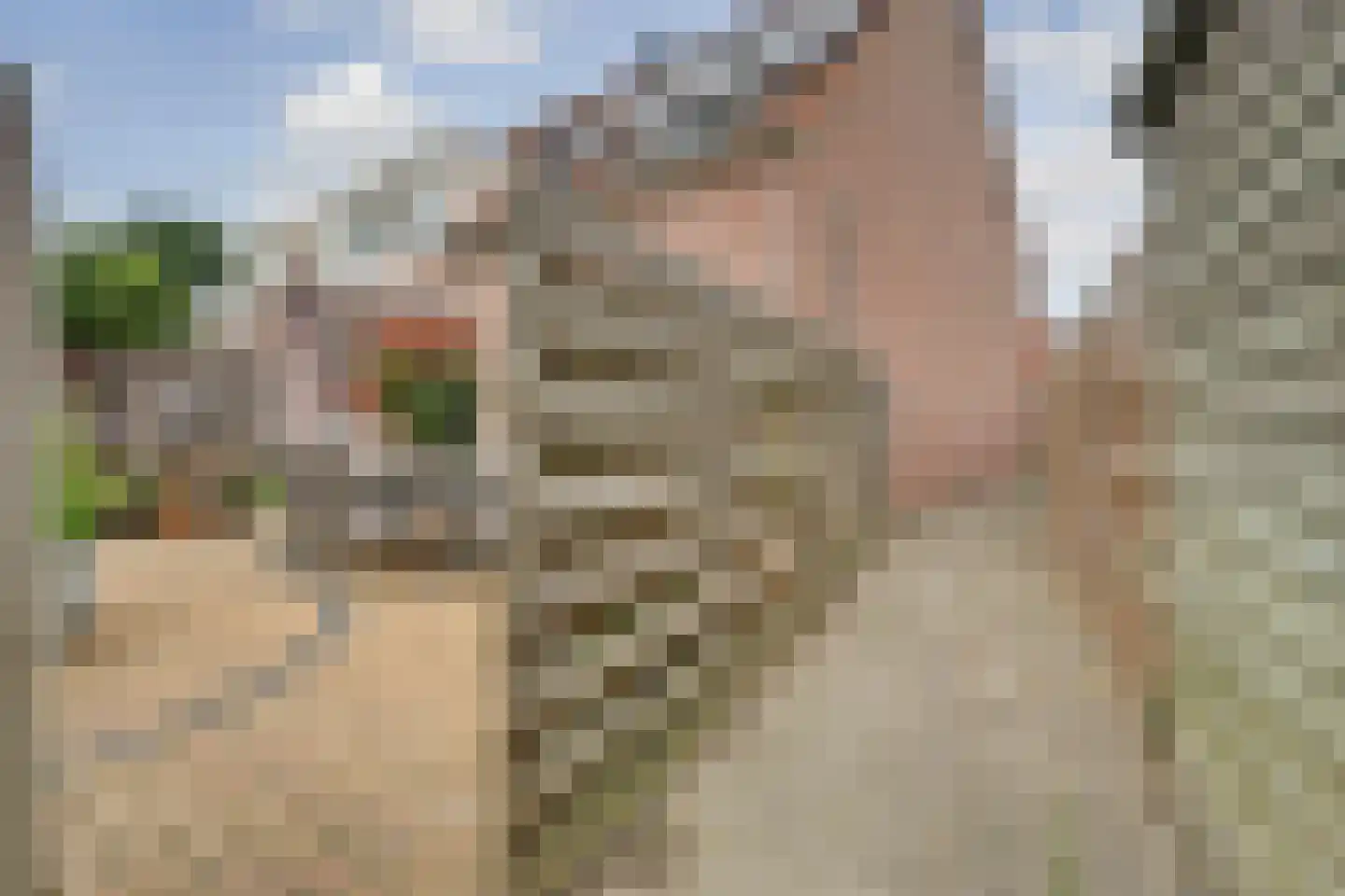 Gebr. Plukkerstraat 29 Schagen thumbnail 38