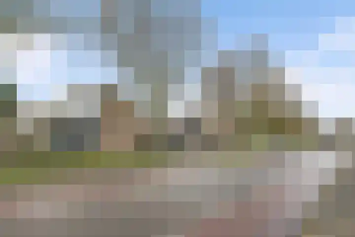 Gebr. van Doornelaan 23 Horst thumbnail 10