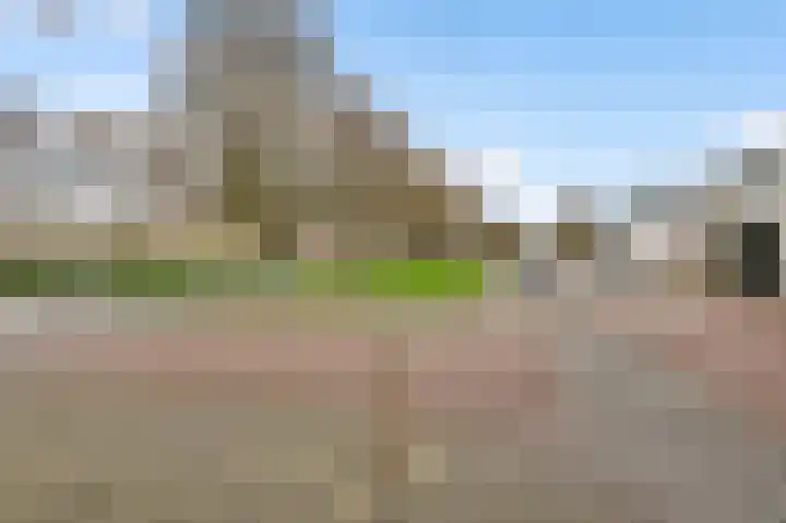 Gebr. van Doornelaan 23 Horst thumbnail 11