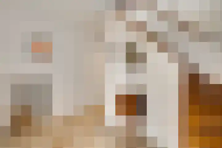 Gebr. van Doornelaan 23 Horst thumbnail 14