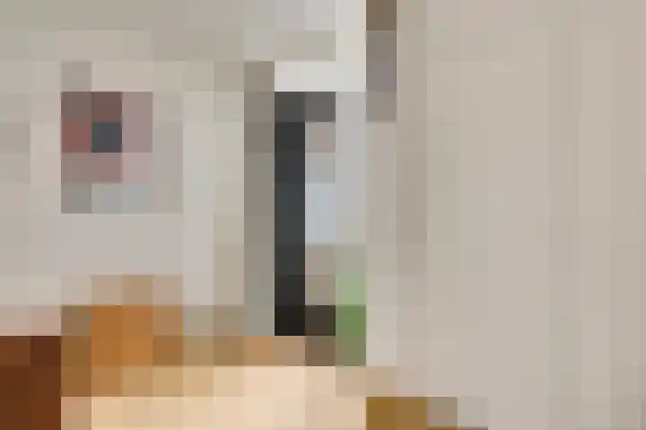 Gebr. van Doornelaan 23 Horst thumbnail 15