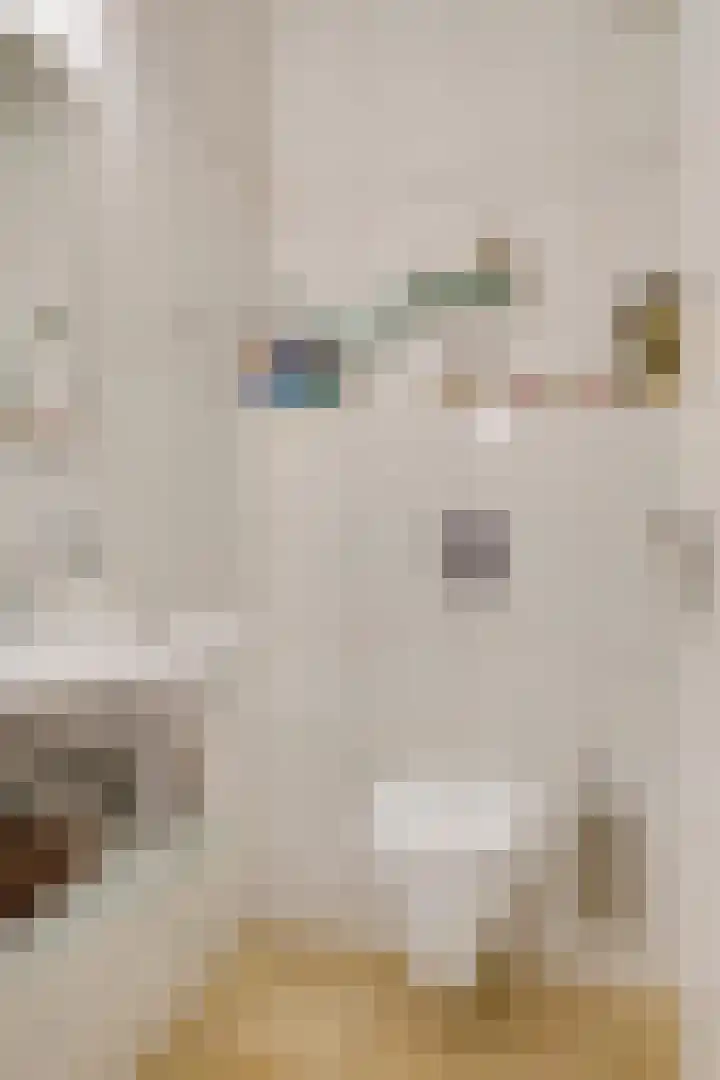 Gebr. van Doornelaan 23 Horst thumbnail 17