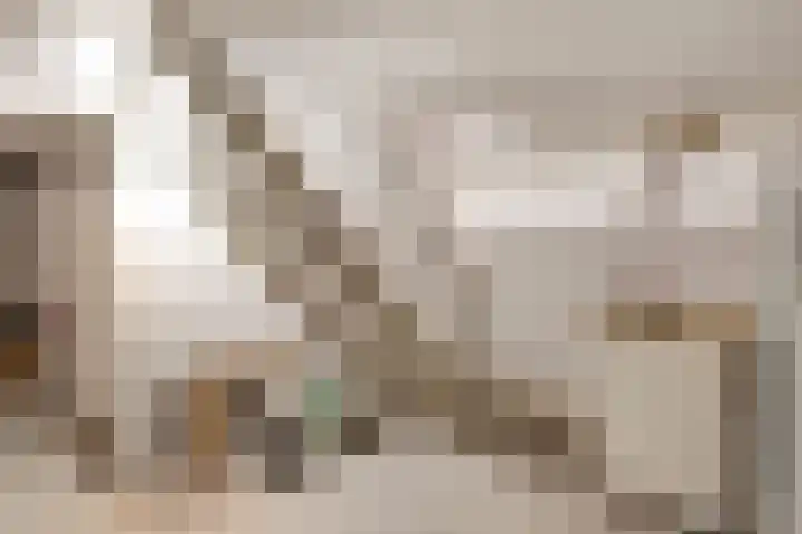 Gebr. van Doornelaan 23 Horst thumbnail 19