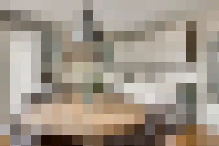 Gebr. van Doornelaan 23 Horst thumbnail 31