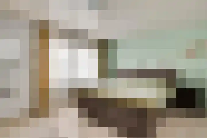 Gebr. van Doornelaan 23 Horst thumbnail 39
