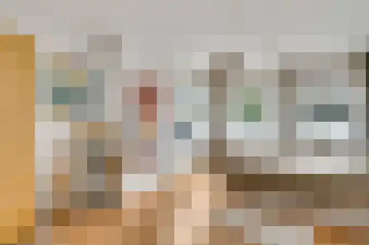 Gebr. van Doornelaan 23 Horst thumbnail 41