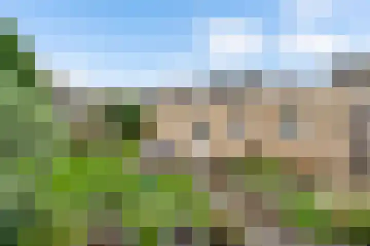 Gebr. van Doornelaan 23 Horst thumbnail 50
