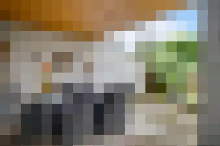 Gebr. van Doornelaan 23 Horst thumbnail 54