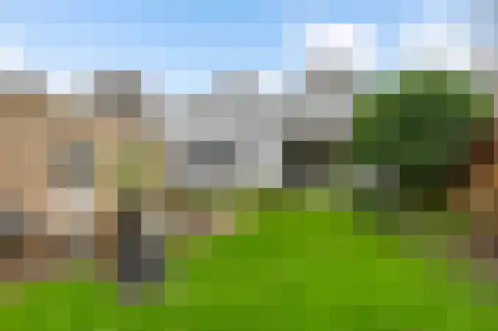 Gebr. van Doornelaan 23 Horst thumbnail 55