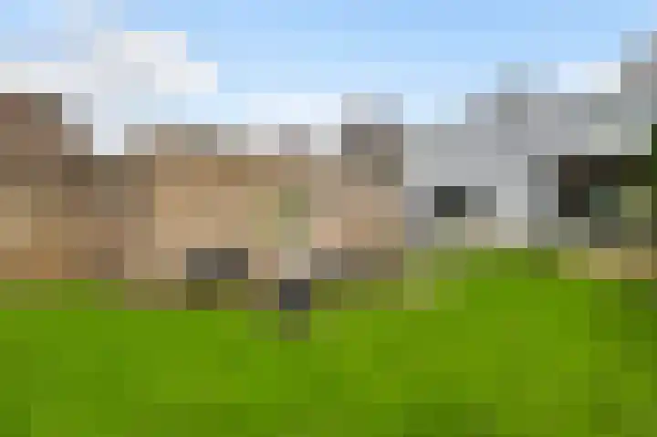 Gebr. van Doornelaan 23 Horst thumbnail 57