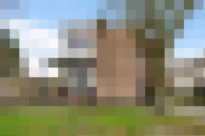 Gebr. van Doornelaan 23 Horst thumbnail 8