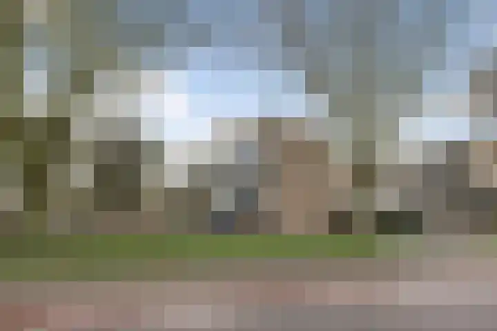 Gebr. van Doornelaan 23 Horst thumbnail 9