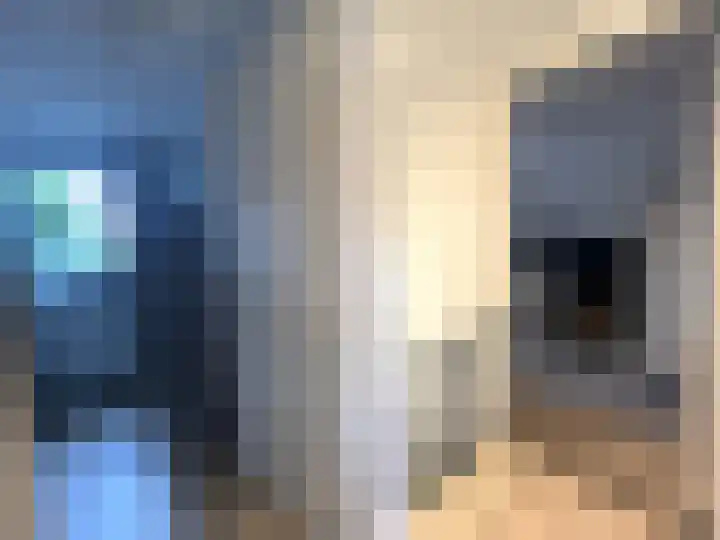 Gebr. van Doornelaan 31 Horst thumbnail 10