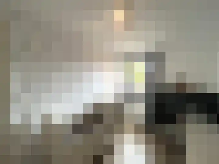 Gebr. van Doornelaan 31 Horst thumbnail 12