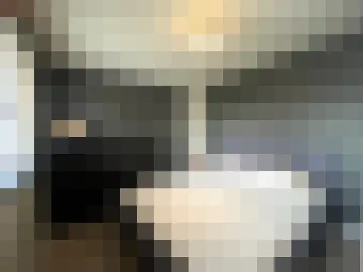 Gebr. van Doornelaan 31 Horst thumbnail 13