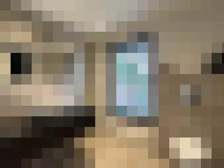 Gebr. van Doornelaan 31 Horst thumbnail 14