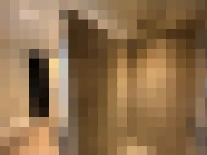 Gebr. van Doornelaan 31 Horst thumbnail 15